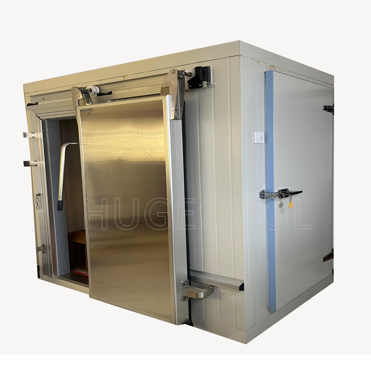 prefabricated Modular cold storage for chicken meat and fresh fruits vegetable