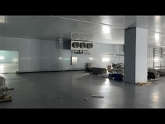 เนื้อแข็ง เนื้อวัว ไก่ อาหารทะเล ห้องเย็น