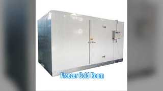 ตู้แช่เย็นห้องเย็น Subzero Storage ยืดอายุการเก็บรักษา