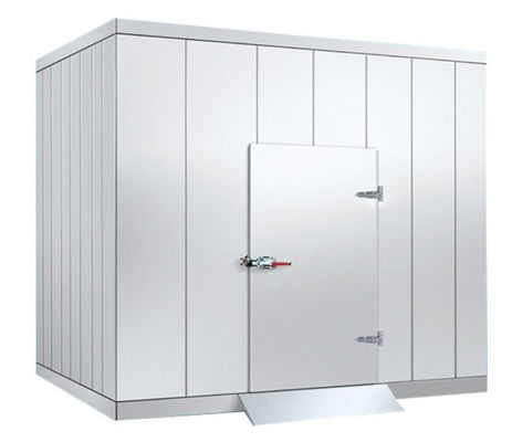 Automatic Defrosting Cooling Cellar Storage for Customized Door Size and Energy-Saving Storage