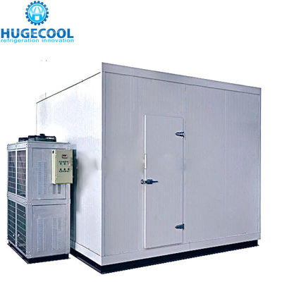 Custom Door Size Chill Storage Cellar for Optimal Temperature Management Solutions