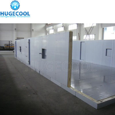 Full Automatic System Freezer Cold Room with 40~42KG/M3 Density and Swing/Sliding Door Options
