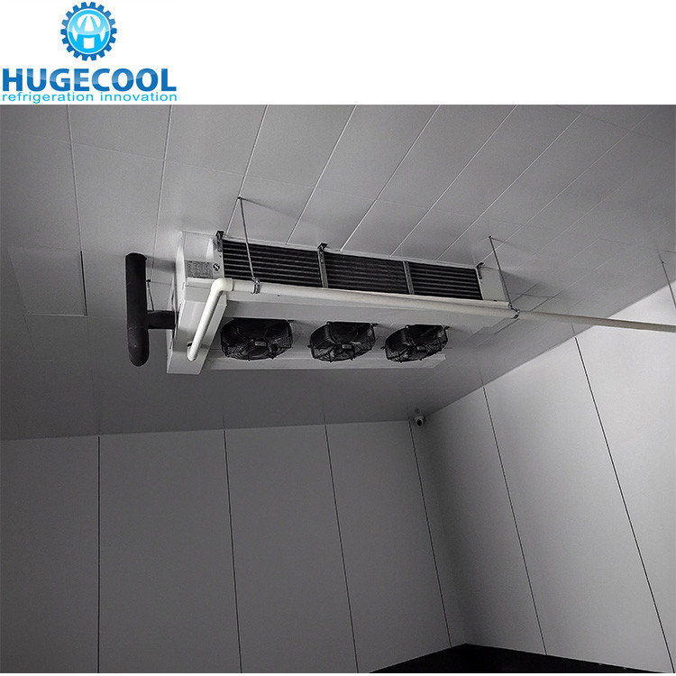 The size and size of the cold room temperature can be customized