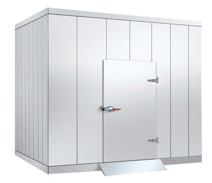 Density Of Panel 150kg/m3 Freezer Cold Room with Digital Temperature Controller Customization Door Size